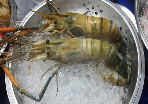 บ้านใหญ่ผัดไทยเตาถ่าน, ผัดไทยคุณยาย เสนาวิลล่า, ซอย7 แฮปปี้แลนด์, ผัดไทยหน้าช่องฯ, ผัดไทยายแถม ถนนวิสุทธิกษัตริย์, ทิพย์สมัย ผัดไทยประตูผี, ลุงภา ผัดไทย เจ้าเก่า, ผัดไทยเสวย ลาดพร้าว71, ประทุมทิพย์ผัดไทย, ผัดไทยวังหิน Showปัง, พรพิมลผัดไทย หอยทอด ราดซอสมันกุ้งรัชดา3แยก8 , เฮงหอยทอดชาวเล, ผัดไทยไฟทะลุ, ผัดไท นรกแตก, ผัดไทยรสเด็ดวงเวียนใหญ่ ไม่ใส่ผงชูรส, สอบถามเพิ่มเติม โทร. 02 438 8388, ผัดไทเทเวศร์ 359