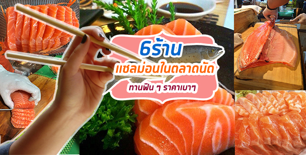 Salmon Cat, Yume plus sushi, ซูชิคุมะ ShuShi Kuma, จ่ามอส แซลม่อน ซีฟู๊ด, กินดิบ
