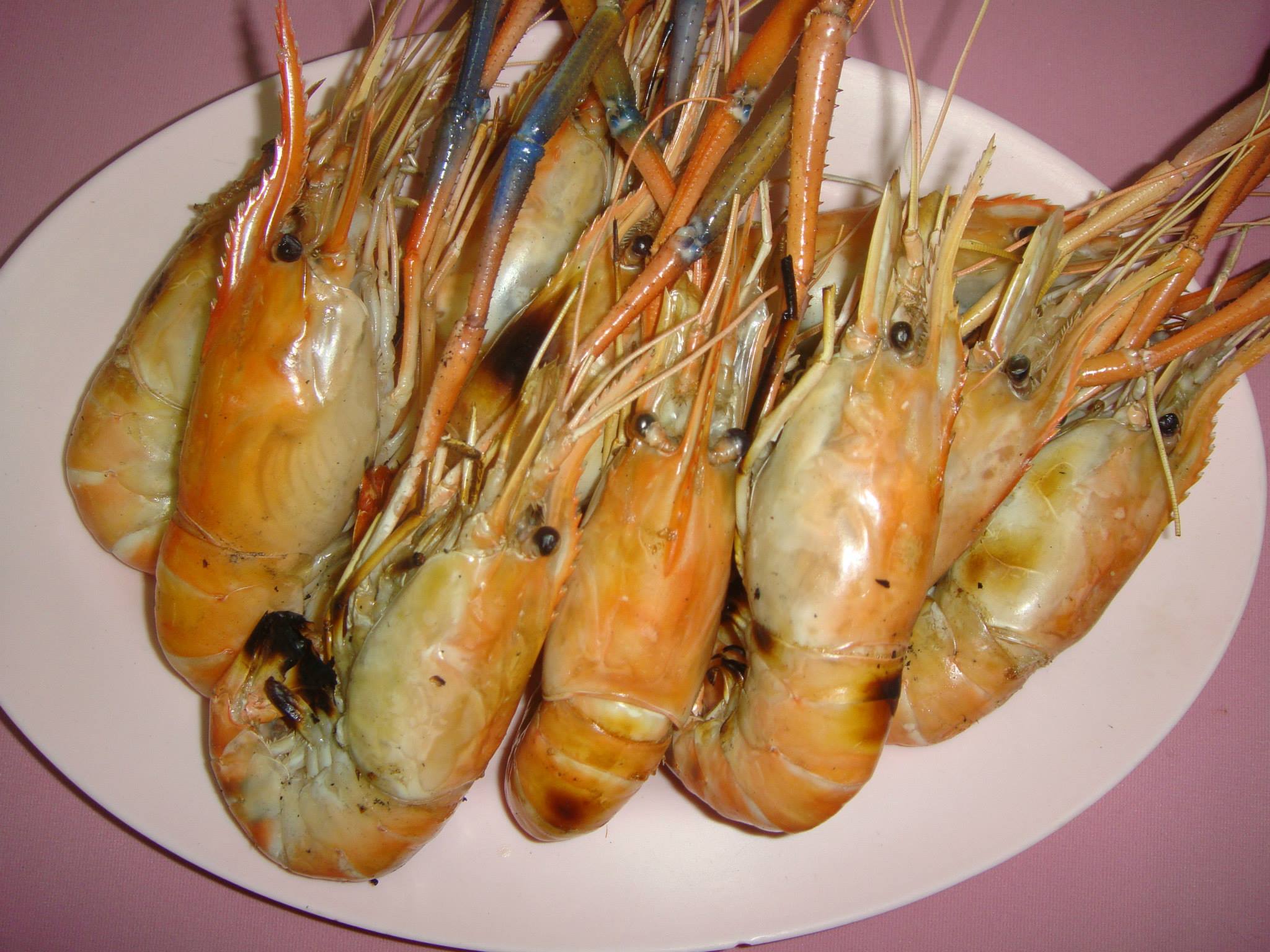 oystermania, The Dock, Lobster &amp; Oyster, เล็ก &amp; รัตน์ซีฟู้ด, Oyster Bay Bangkok