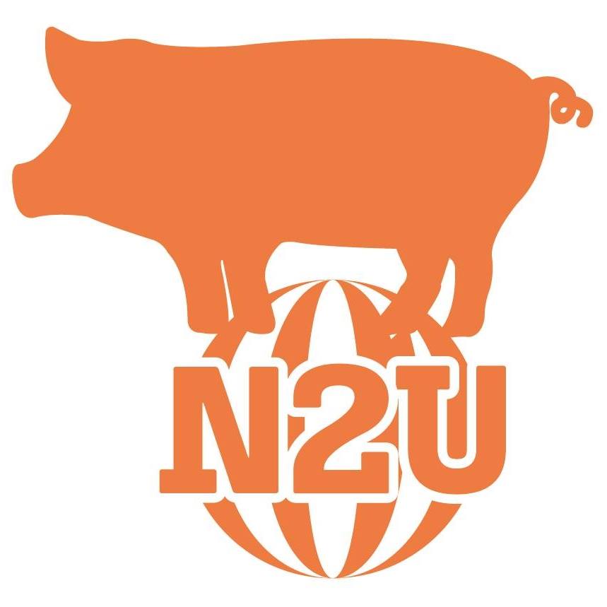 Gamsa_aree, SURA KOREAN BBQ, JangWon BBQ 장원, Banjoo korean modern BBQ, The Tongkeungui, DooRae BeeHive