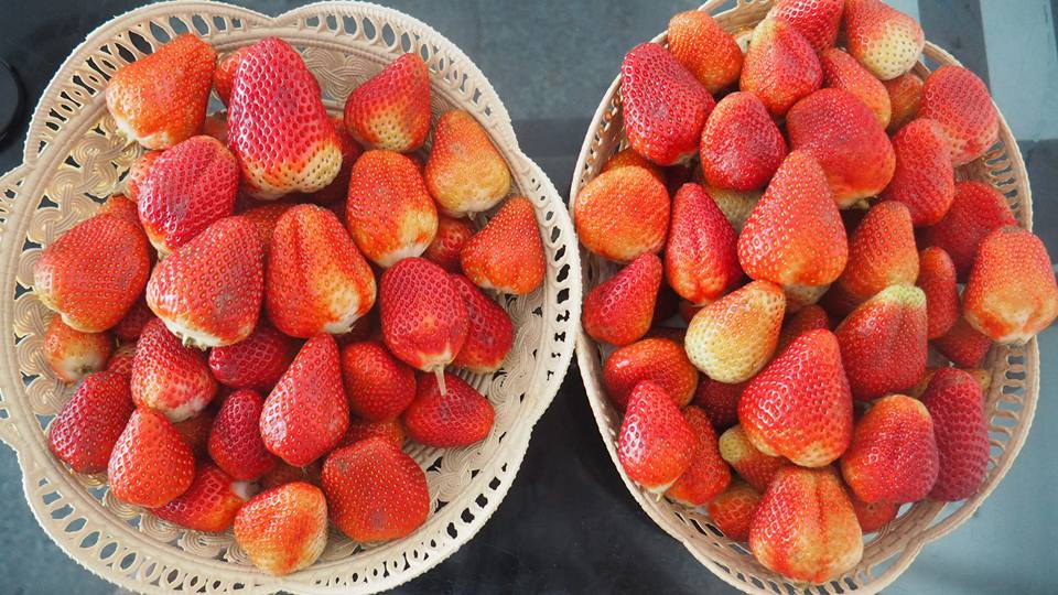 Phumjai Crepe • ภูมิใจเครป, เครปเย็นโครตไส้ ตลาดอินดี้ปิ่นเกล้า, เครปบุฟเฟต์ สายไหมอเวนิว, ร้านป้านายเครปเย็น I creamy crepe, เครปเย็น หน้าวัง, เครปเย็น โทสต์ ร้านป้อนคำหวาน กรู๊ฟมาร์เก็ต, YOTHA CREPE, เครปสมหวัง, Olino Crepe &amp; Tea