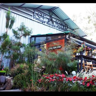 ครัวจำแลง แปลงกาย, Kojiro Japanese Cuisine, ฮองมิน ภัตตาคารจีน, Chom Arun, The Yard Restaurant, Laychale, DE VIVA, Sheep Village, กุ้งเต้น, อรรถรส, กินลมชมสะพาน, บ้านน้ำเคียงดิน, 1 of a kind, คาวหวาน Noodle&amp;cafe