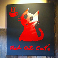 Unplan, ma na cafe', ปลาชุม : Plachum Café &amp; Bistro, Nava House Café - นาวา เฮ้าส์ คาเฟ่, Coffee 123, FarmVille Chachoengsao, บ้านพระจันทร์เวียน, กรีนวิลล์ ผักสลัดเสิร์ฟจากฟาร์ม , D•presso cafe, Baan Melon Desert, Red Cat Cafe ตลาดบ้านใหม่, Lifehouse Cafe &amp; Kitchen, T13 Café