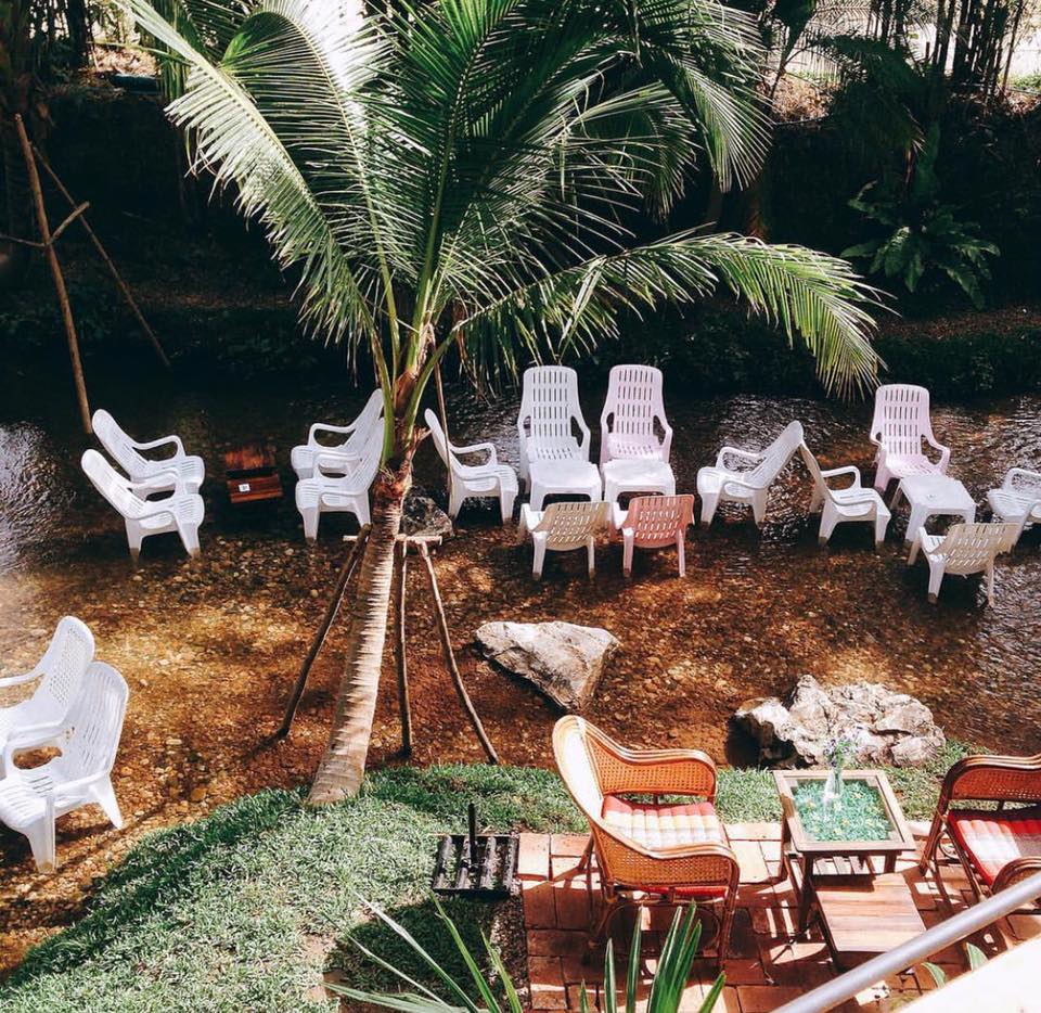 Treespresso cafe, Vigie Sist Café, Aki Choux Cream, Polaris Sunrise Café, MOJI Pool.Villa.icecream, MYTH OVEN, KonJohn coffee slowbar, Eleven Pillar Site, Home’S, Koffandthings.th, Playworks.cafeart, Tree of Life Cafe, Kramfeine, Millilit Cafe, TOMATO.cafe.cnx, MITTE MITTE, Soul Café mju, ZOHNG Coffee, ALSO cafe, Coffee Ngeggee, Graincafe.cnx, Later on cafe, สุขพอดี, FERN FOREST CAFÉ, Forest Bake, ภูฟิน, CHEEVIT CHEEVA, GoodVibes Cafe-Cnx, Chic 39, Zombie Café, Ristr8to, Neo Cafe', ชมนกชมไม้, เก้าคาเฟ่ นิมมาน