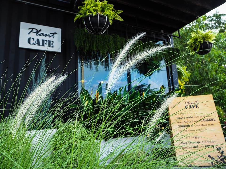 Smitten Cafe and Decor, Thong Ampai Café, THREE Cafe, Continue.cafe, Sunday in 345 cafe, Aprilhouse, The Aileen Cafe', Oliva Cafe, The Kottage Cafe, Plant Cafe, ปิ่นโตนามีตาล, Baan Kanom De'Pathum, Pumpkin Art Town, Mushroom Hut Cafe, KAD Cafe - กาด คาเฟ่, ADAM cafe