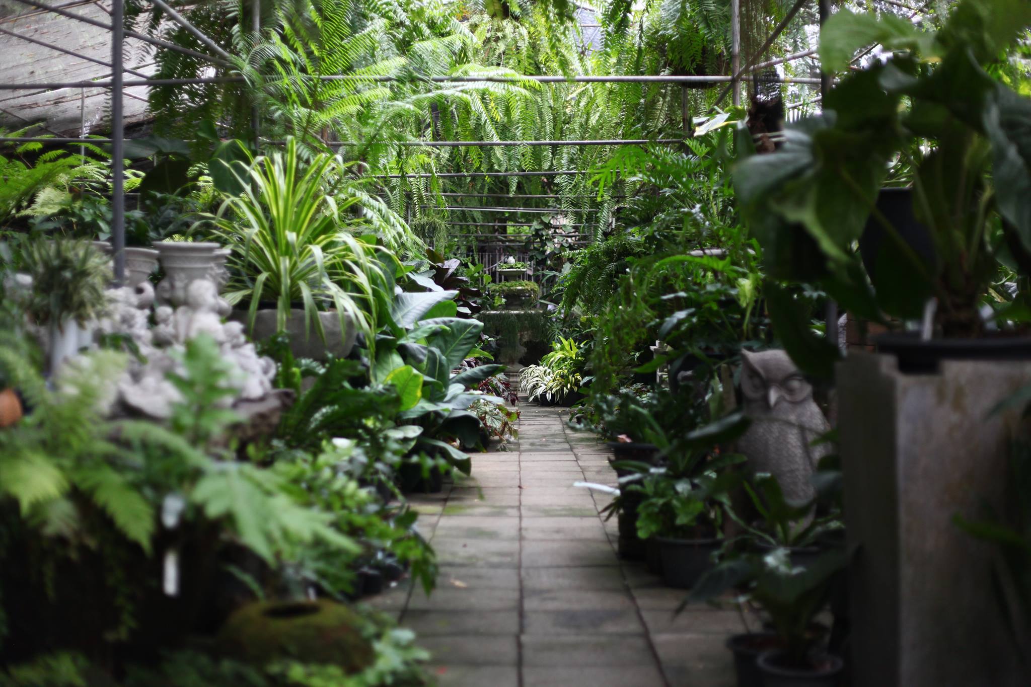 Midwinter, Dandelion Bake Studio, Cafe Reverie, Portobello &amp; Désiré, Level 50 by SEE FAH, Siam Yacht Club, Blue Sky, at Centara Grand, Mezzaluna Restaurant