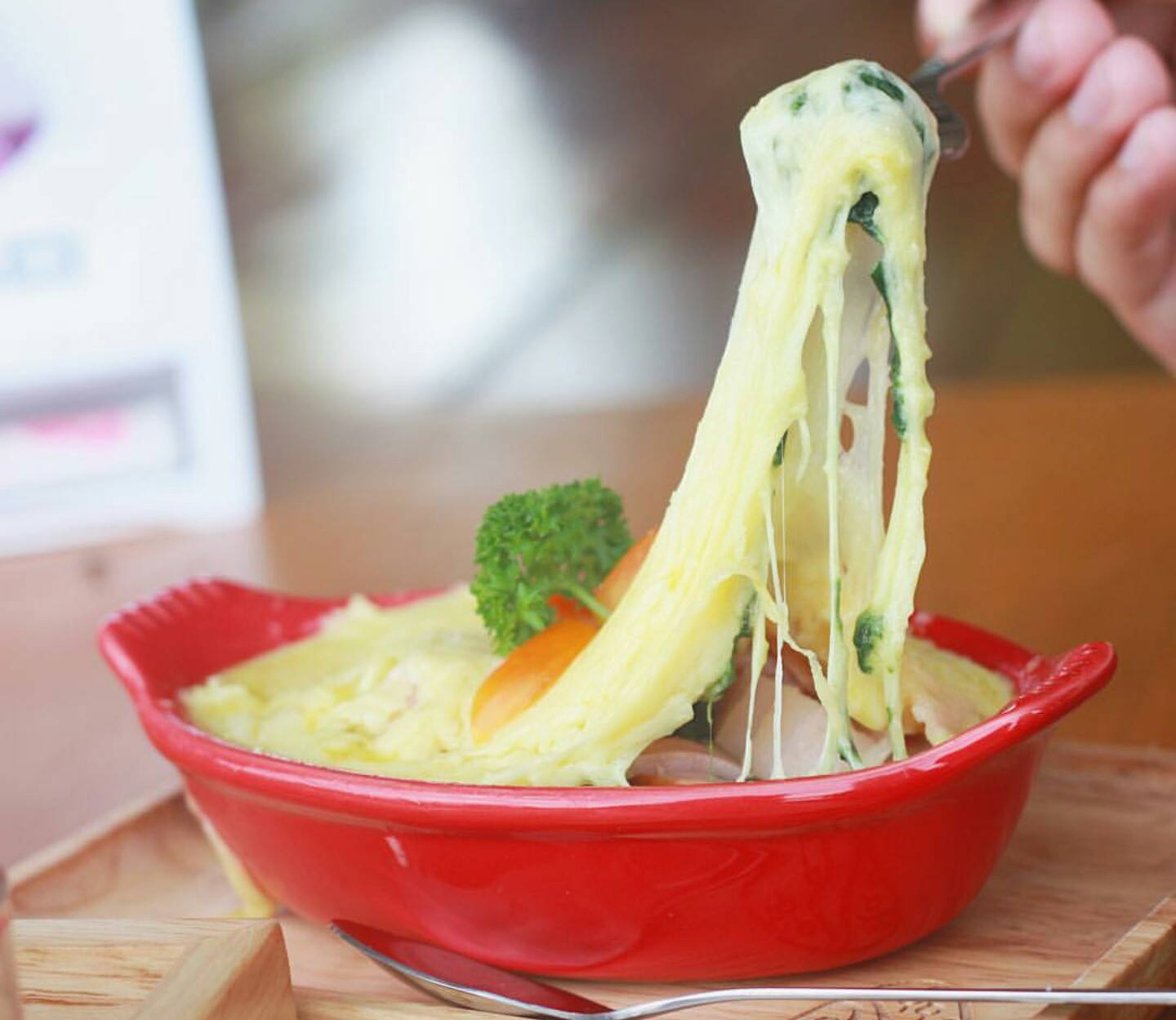 SOP Cafe, Three Mountain Café, ชื่นใจ๋, The Peace Coffee, โคโค่คอฟฟี่, Mali Cafe &amp; Cuisine, Tree Shade, Smallroom cafe passion, อาตี๋โกปี๊, Tara Coffee, In Cafe, Thanks, CORO FIELD, White Cacti