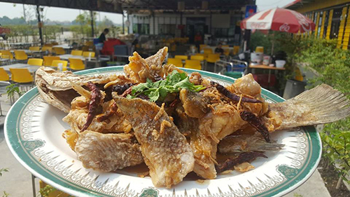 อุ่นใจริเวอร์ไซด์, สมพงศ์ ซีฟู๊ด, แป๊ะเก๊า โภชนา, ครัวบ้านเปิ้ล, ครัวปีกไม้, PLAY FARM Restaurant, เปียอู๋ โภชนา, ส้มตำดนตรี, สาขาเทพารักษ์, นายหมาทะเลมีชีวิต ตำหรุ, ครัวบุญเลิศ บางปู