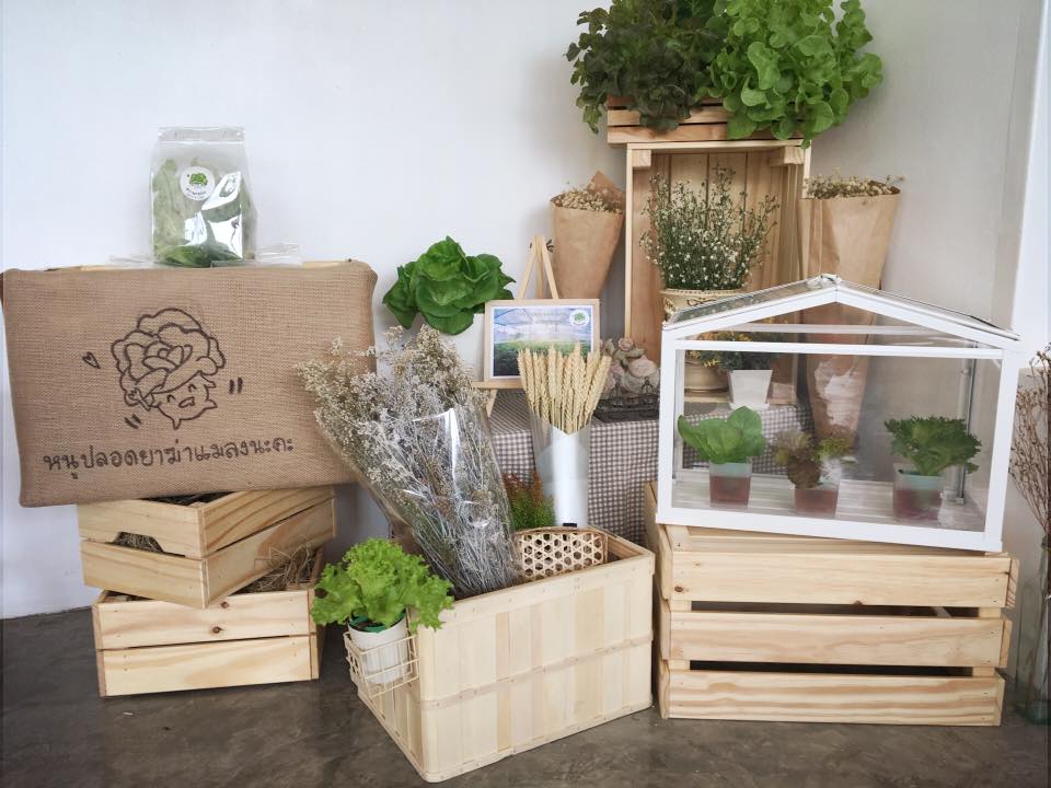 Cafeccini, Bootcamp Cafe, SUNKISS.bangkok, Nine Cafe, บ้านและเกสร, Dog Country Cafe, Kaffeehaus, คาเฟ่ บ้านหมี, หวานกรอบ Farm &amp; Cafe, Mamaison cafe, แสงตะวันฟาร์ม เมล่อนสาย4