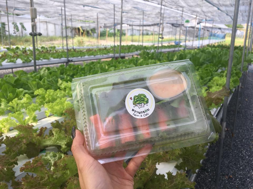 Cafeccini, Bootcamp Cafe, SUNKISS.bangkok, Nine Cafe, บ้านและเกสร, Dog Country Cafe, Kaffeehaus, คาเฟ่ บ้านหมี, หวานกรอบ Farm &amp; Cafe, Mamaison cafe, แสงตะวันฟาร์ม เมล่อนสาย4