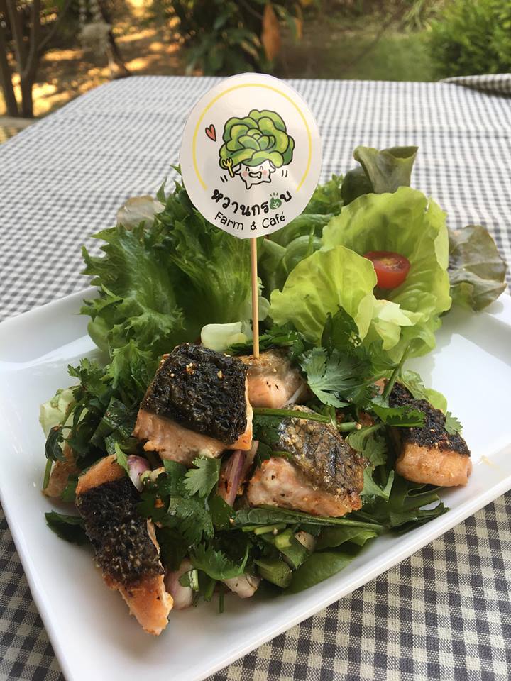 Cafeccini, Bootcamp Cafe, SUNKISS.bangkok, Nine Cafe, บ้านและเกสร, Dog Country Cafe, Kaffeehaus, คาเฟ่ บ้านหมี, หวานกรอบ Farm &amp; Cafe, Mamaison cafe, แสงตะวันฟาร์ม เมล่อนสาย4