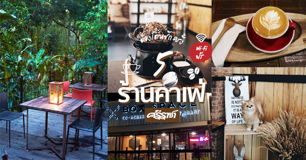 Pransuk, Khagee sriracha cafe, Manga Coffee &amp; Craft, Morning Glory Cafe, สาขาศรีราชา