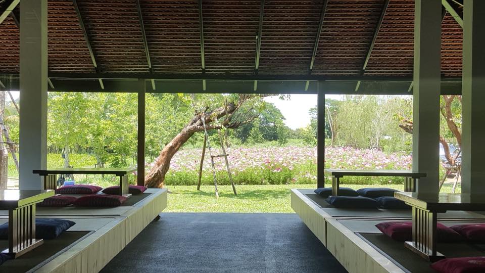 Matchappen, DWBH CAFE, Minna Matcha, Magokoro Teahouse, Nekoemon Cafe Chiang Mai