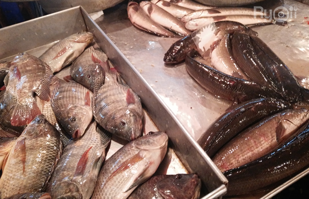 โย่งราดหน้าหมูอึ๋ม, ร้านก๋วยเตี๋ยวเจ้โหงว - ซอยเจริญสุข คลองเตย, ร้านอาหารชวนโภชนา ข้าวต้มโต้รุ่ง, ร้านอาหารหลงจู เกี๊ยวเมืองจีน, Vietnamese and More