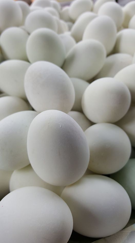 เป็ดพะโล้นายหนับ ตลาดน้ำดอนหวาย, ปังพอนด์_ดอนหวาย, ครัวบ้านเตี่ย ตลาดน้ำวัดดอนหวาย, แพสุวรรณรัตน์ ตลาดริมน้ำดอนหวาย, เป็ดพะโล้นายโอ, เพชรเบเกอรี่, ปลาต้มเค็มป้าต้อย (ตลาดดอนหวาย), ขนมชั้น แสงดาว, ตลาดริมน้ำวัดดอนหวาย จ.นครปฐม, ร้านขนมสอดไส้ผู้พัน - ตลาดน้ำดอนหวาย, ขนมหวานเจ๊โส่ย..ตลาดดอนหวาย, ศรียาภัย ไอศครีมกะทิสด, ขนมตาลป้าไข่, ขนมไทย เจิมทอง ตลาดดอนหวาย, ร้านขนมมุสลิมโบราณ786 ขนมฝักบัว, ขนมเบื้องญวน ขนมหม้อแกงถั่ว, ไข่เค็มป้ายม, นิด หมี่กรอบมันกุ้ง, ร้านกวยจั๊บนายตือ ดอนหวาย