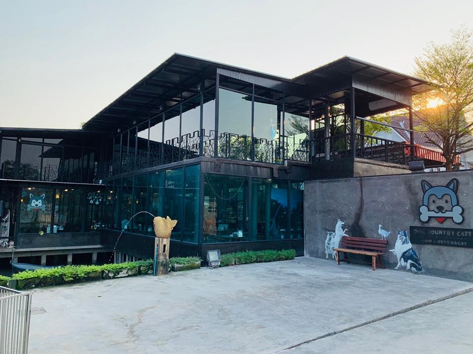 Cafeccini, Bootcamp Cafe, SUNKISS.bangkok, Nine Cafe, บ้านและเกสร, Dog Country Cafe, Kaffeehaus, คาเฟ่ บ้านหมี, หวานกรอบ Farm &amp; Cafe, Mamaison cafe, แสงตะวันฟาร์ม เมล่อนสาย4