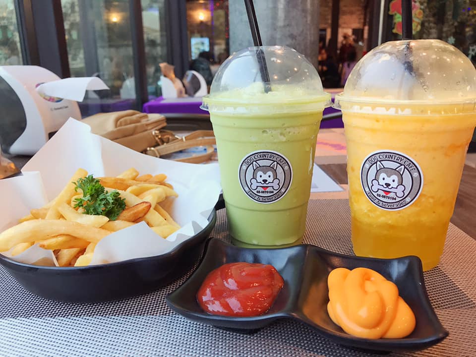 Cafeccini, Bootcamp Cafe, SUNKISS.bangkok, Nine Cafe, บ้านและเกสร, Dog Country Cafe, Kaffeehaus, คาเฟ่ บ้านหมี, หวานกรอบ Farm &amp; Cafe, Mamaison cafe, แสงตะวันฟาร์ม เมล่อนสาย4