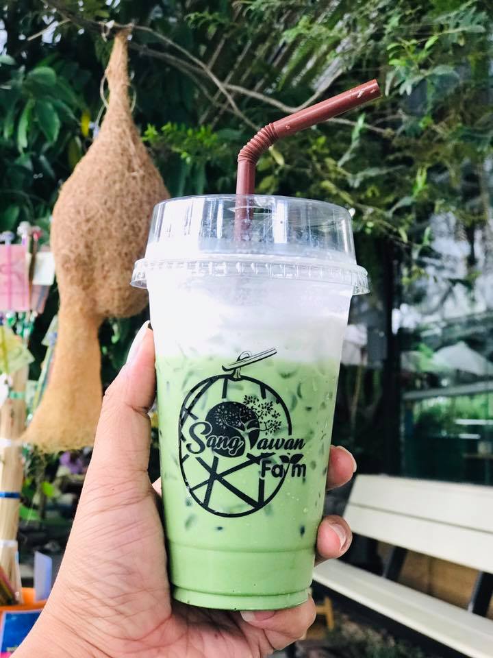 Cafeccini, Bootcamp Cafe, SUNKISS.bangkok, Nine Cafe, บ้านและเกสร, Dog Country Cafe, Kaffeehaus, คาเฟ่ บ้านหมี, หวานกรอบ Farm &amp; Cafe, Mamaison cafe, แสงตะวันฟาร์ม เมล่อนสาย4