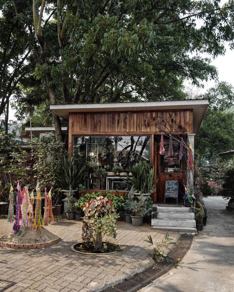 Treespresso cafe, Vigie Sist Café, Aki Choux Cream, Polaris Sunrise Café, MOJI Pool.Villa.icecream, MYTH OVEN, KonJohn coffee slowbar, Eleven Pillar Site, Home’S, Koffandthings.th, Playworks.cafeart, Tree of Life Cafe, Kramfeine, Millilit Cafe, TOMATO.cafe.cnx, MITTE MITTE, Soul Café mju, ZOHNG Coffee, ALSO cafe, Coffee Ngeggee, Graincafe.cnx, Later on cafe, สุขพอดี, FERN FOREST CAFÉ, Forest Bake, ภูฟิน, CHEEVIT CHEEVA, GoodVibes Cafe-Cnx, Chic 39, Zombie Café, Ristr8to, Neo Cafe', ชมนกชมไม้, เก้าคาเฟ่ นิมมาน