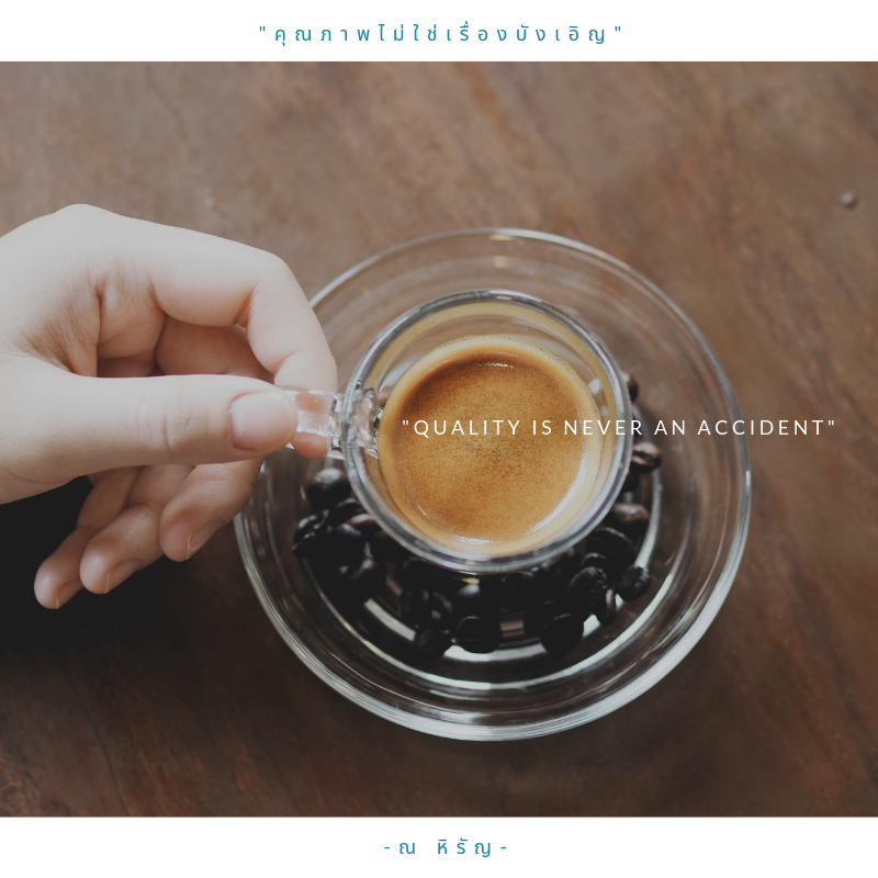 Mixirista Lampang, TIN’N, Wooden House Cafe', Karpenter cafe&amp;bake, Secret Garden Cafe, บ้านนอกคาเฟ่, Kin Cafe' Lampang, ณ หิรัญ คาเฟ่, Himwang Café, ไอหย๋า ปังนม, Dezato Cafe, อาร์มแชร์ คาเฟ่, โก๋กาแฟ ธรรมดาเป็นพิเศษ, Nalalin Home Cafe-Lampang, NOP Cafe&amp;Bistro, ก๋างต้ง, Moungngwezin