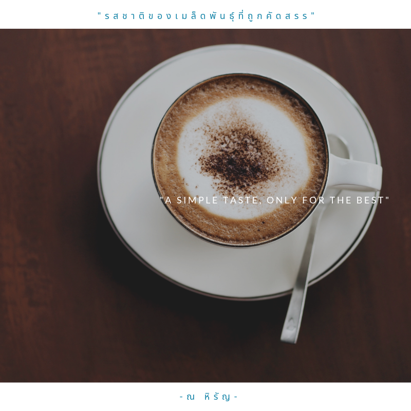 Mixirista Lampang, TIN’N, Wooden House Cafe', Karpenter cafe&amp;bake, Secret Garden Cafe, บ้านนอกคาเฟ่, Kin Cafe' Lampang, ณ หิรัญ คาเฟ่, Himwang Café, ไอหย๋า ปังนม, Dezato Cafe, อาร์มแชร์ คาเฟ่, โก๋กาแฟ ธรรมดาเป็นพิเศษ, Nalalin Home Cafe-Lampang, NOP Cafe&amp;Bistro, ก๋างต้ง, Moungngwezin