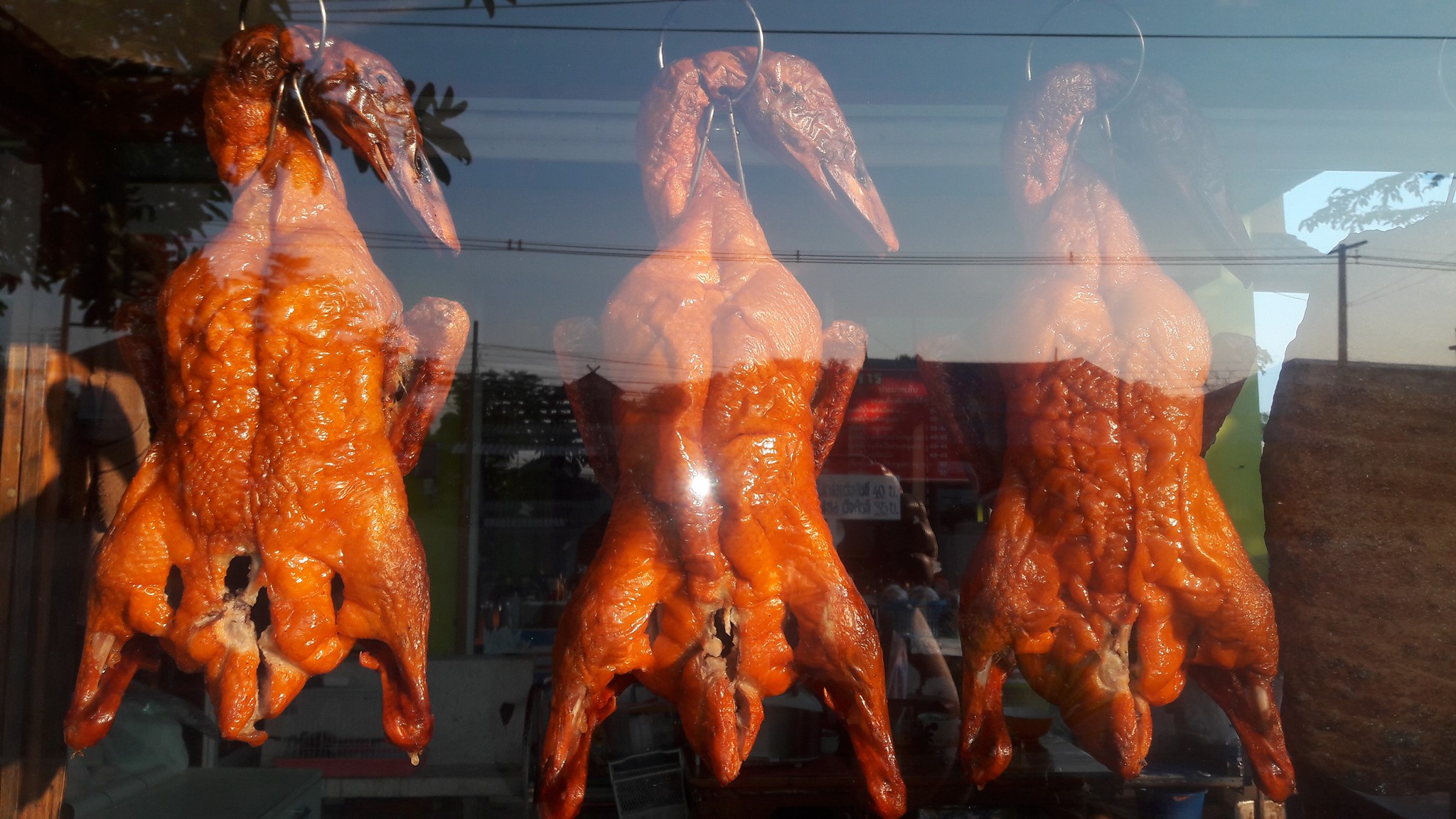 กอบัว, บ้านอาหารไทย, บ้านบัว, บ้านรั้วไม้ Cuisine &amp; Cafe, ครัวหอมมันปู, ร้านไหน อุทยานหินเขางู ราชบุรี, สวนอาหาร รางตาล, Pakmud แซ่บหมูทะ, สาขาโพธาราม, ถึงพริกถึงขิง, มะม่วงคู่, เนื้อต้มบ้านสิงห์ เจ๊ติ๋ม, โกรกแดง, ชุมทางของอร่อย, Mainichi365, Octospider restaurant, Lim cafe Photaram, ครัวตะนาวศรี สวนผึ้ง ราชบุรี, อาตี๋โกปี๊, โอปอชิฟฟ่อนเค้ก, ก๋วยเตี๋ยวปลาแม่กลอง, ติ๋มเค้กมะพร้าวอ่อน, ก๋วยเตี๋ยวโบราณป้าฮวย, โอ่งข้าวโอ่งน้ำ, ครัวม่อนไข่ สวนผึ้ง ราชบุรี, ShabuDo