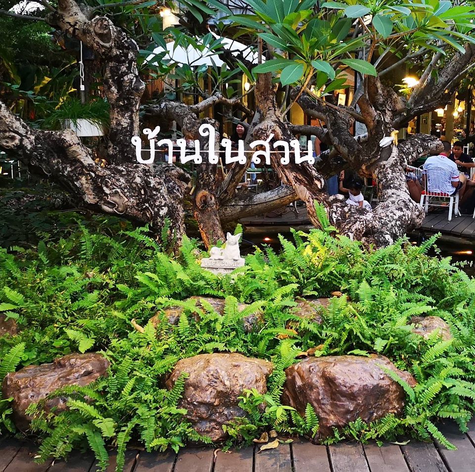 บ้านสวย ในสวน, Siam Brasserie , The Treehouse Nongchok, Natura Cafe, BaanNaiSuan Cafe&amp;Yoga, Patom, Portobello &amp; Désiré, ครัวบ้านสวนสุวรรณ, ร้านอาหารฐิตารีย์ สวนรถไฟ จตุจักร, บ้านสวน อบอวลรัก