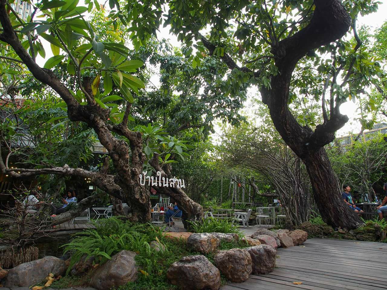 บ้านสวย ในสวน, Siam Brasserie , The Treehouse Nongchok, Natura Cafe, BaanNaiSuan Cafe&amp;Yoga, Patom, Portobello &amp; Désiré, ครัวบ้านสวนสุวรรณ, ร้านอาหารฐิตารีย์ สวนรถไฟ จตุจักร, บ้านสวน อบอวลรัก