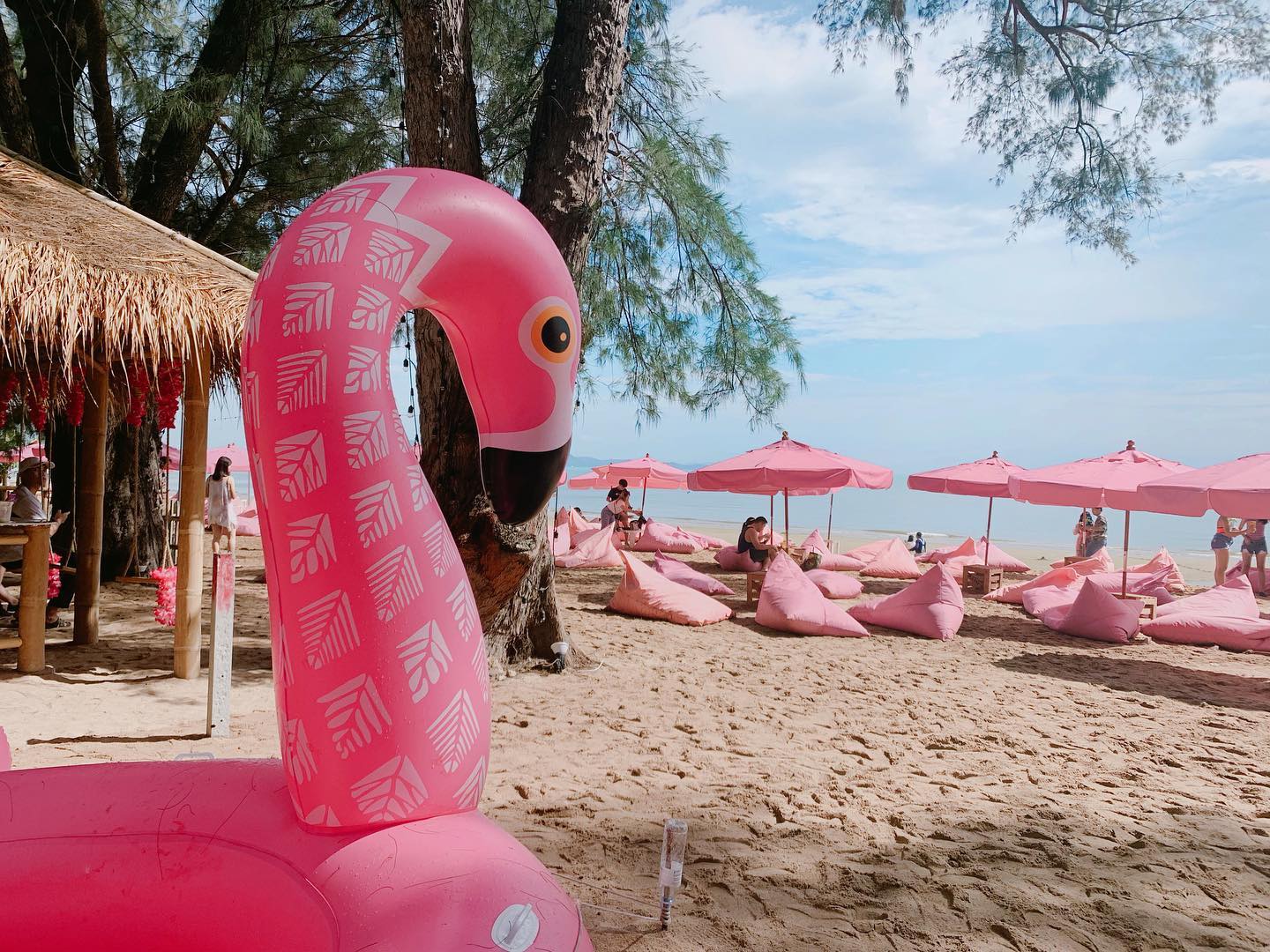 รับทำเค้กและเบเกอรี่ตามสั่งชลบุรี, Cocoa cafe, Sourcreamfactory, Heriot Cafe, Love your trees, BearbyTea, Fermenti, Daydream Café Chonburi, Tutu Beach