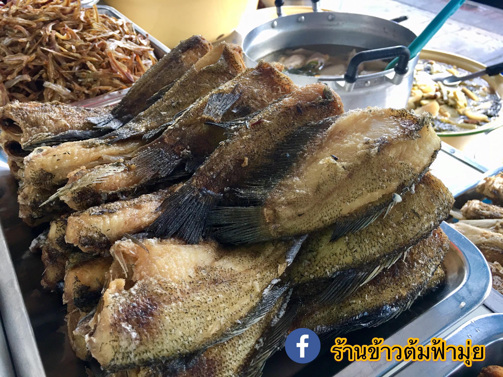 อร่อยเด็ด, ร้านข้าวต้มนายอ๋า, ร้านฟ้ามุ่ย, ร้านสุธาทิพย์, Blue Tree coffeebar, ร้านชั่งเส็ง ก๋วยเตี๋ยวลูกชิ้นปลา (เจ้เกียว), Pat Cafe Boraan แพท คาเฟ่ โบราณ, อ้วนโภชนา อาหารไทย อีสาน , ครัวป้าแดงบางลำพู, Cafe' Velodome