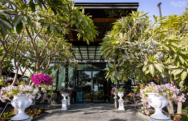 Autumn haus, YOJU Cafe, Lemon Me Farm, STARTCafé, Lot no.8 cafe, 23 cafe and bistro, STAY WITH TREE cafe, April Flavors cafe, Destiny cafe', บ้านปายนา, DUBUA CAFE, House of Chandra - เสน่ห์จันทน์ , 11 Elephant Dessert Cafe, Hangar Cafe', Merce Cafe & Restaurant, Ton Khao Terrace, O2 Kaffee & Bistro, Pomelo Cafe, Little tree, Chinu Coffee