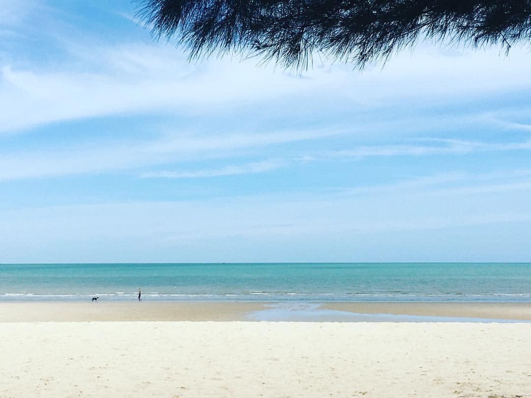 ครัวลุงมันซีฟู้ด, ตั้งฉ่ายซีฟู้ด, บ้านไร่น้ำอิง, พรทะเลซีฟู้ด, ศิริกัญญาซีฟู๊ด, ผึ้งทะเลเผา เบอร์ 9, ครัวป้ายืนซีฟู้ด, นู๋ยาซีฟู้ดชะอำ, ครัวเม็ดทราย, บ้านครัวทะเล, ครัวห้วยทราย, Platoo Restaurant, ครัวป้าเฉลียว, ร้านครัวพี่เปี๊ยก บางควาย