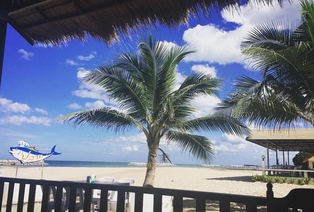 ครัวลุงมันซีฟู้ด, ตั้งฉ่ายซีฟู้ด, บ้านไร่น้ำอิง, พรทะเลซีฟู้ด, ศิริกัญญาซีฟู๊ด, ผึ้งทะเลเผา เบอร์ 9, ครัวป้ายืนซีฟู้ด, นู๋ยาซีฟู้ดชะอำ, ครัวเม็ดทราย, บ้านครัวทะเล, ครัวห้วยทราย, Platoo Restaurant, ครัวป้าเฉลียว, ร้านครัวพี่เปี๊ยก บางควาย