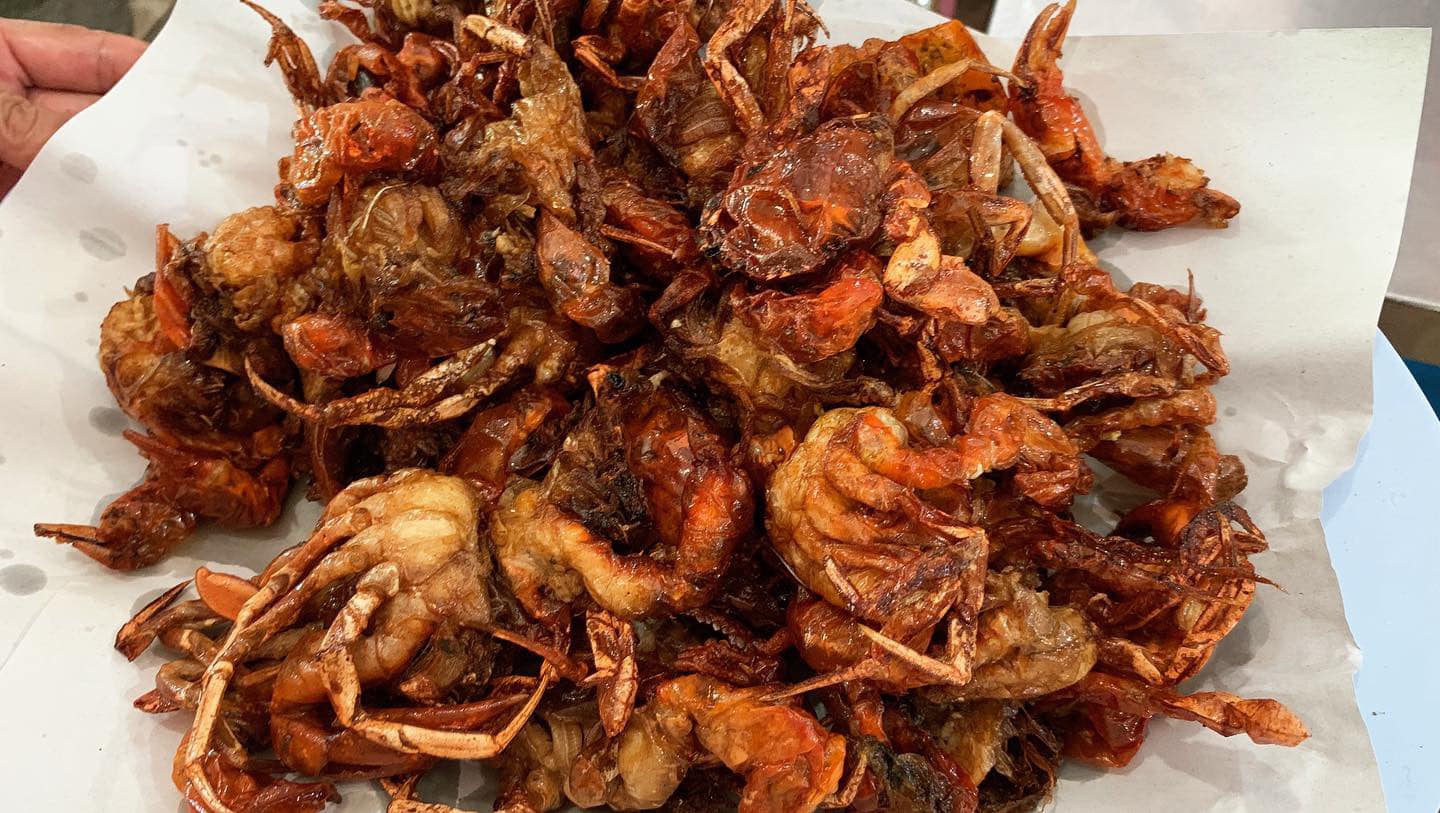 ครัวลุงมันซีฟู้ด, ตั้งฉ่ายซีฟู้ด, บ้านไร่น้ำอิง, พรทะเลซีฟู้ด, ศิริกัญญาซีฟู๊ด, ผึ้งทะเลเผา เบอร์ 9, ครัวป้ายืนซีฟู้ด, นู๋ยาซีฟู้ดชะอำ, ครัวเม็ดทราย, บ้านครัวทะเล, ครัวห้วยทราย, Platoo Restaurant, ครัวป้าเฉลียว, ร้านครัวพี่เปี๊ยก บางควาย