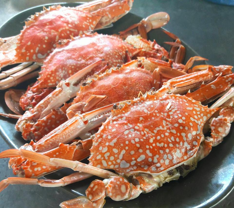 จ๊ะโอ๋ซีฟู๊ด, รุ่งฟ้า ซีฟู้ด, วิวทิวไม้ ซีฟู้ด, ครัวลุงแถม, ครัวแพขวัญใจซีฟู้ด บางขุนเทียน, ครัวน้าเนียมซีฟู้ด, ครัวนพเก้าซีฟู้ด, ครัวทับทิม ซีฟู้ด, ครัวพ่อกำนันซีฟู๊ด บางขุนเทียน-ชายทะเล, บ้านปองพลซีฟู้ด, ครัววลัยพร, ธารทะเลซีฟู้ด บางขุนเทียน-ชายทะเล, ฟาร์มสมใจซีฟู้ดส์ บางขุนเทียนชายทะเล, ครัวคุณอรซีฟู๊ดบางขุนเทียน