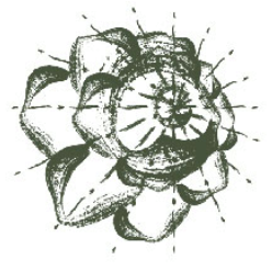 Pachi Bangkok, ซอสามสาย, R.HAAN, Patara Fine Thai Cuisine-Bangkok, ศรีตราด, ปรายระย้า, Bo.lan, อรรถรส, กลางซอย