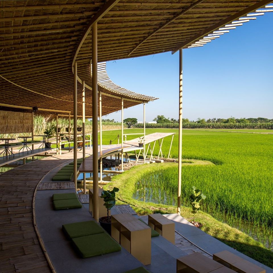 The Sine Cafe’, Whispering cafe, รักษ์น้ำคาเฟ่, Orenchi Cafe, KAWA Coffee and Co., Orenchi Specialty Coffee, Attitude Coffee, Memory House Cafe, In Garden Hut Cafe, ChataThammachart, She's The Legend Cafe, RIVA floating cafe, Good Mood House, นึก คาเฟ่ - วัดไร่ขิง, Ton Khao Terrace, CHADA Tea Boutique, Kark Crof.f