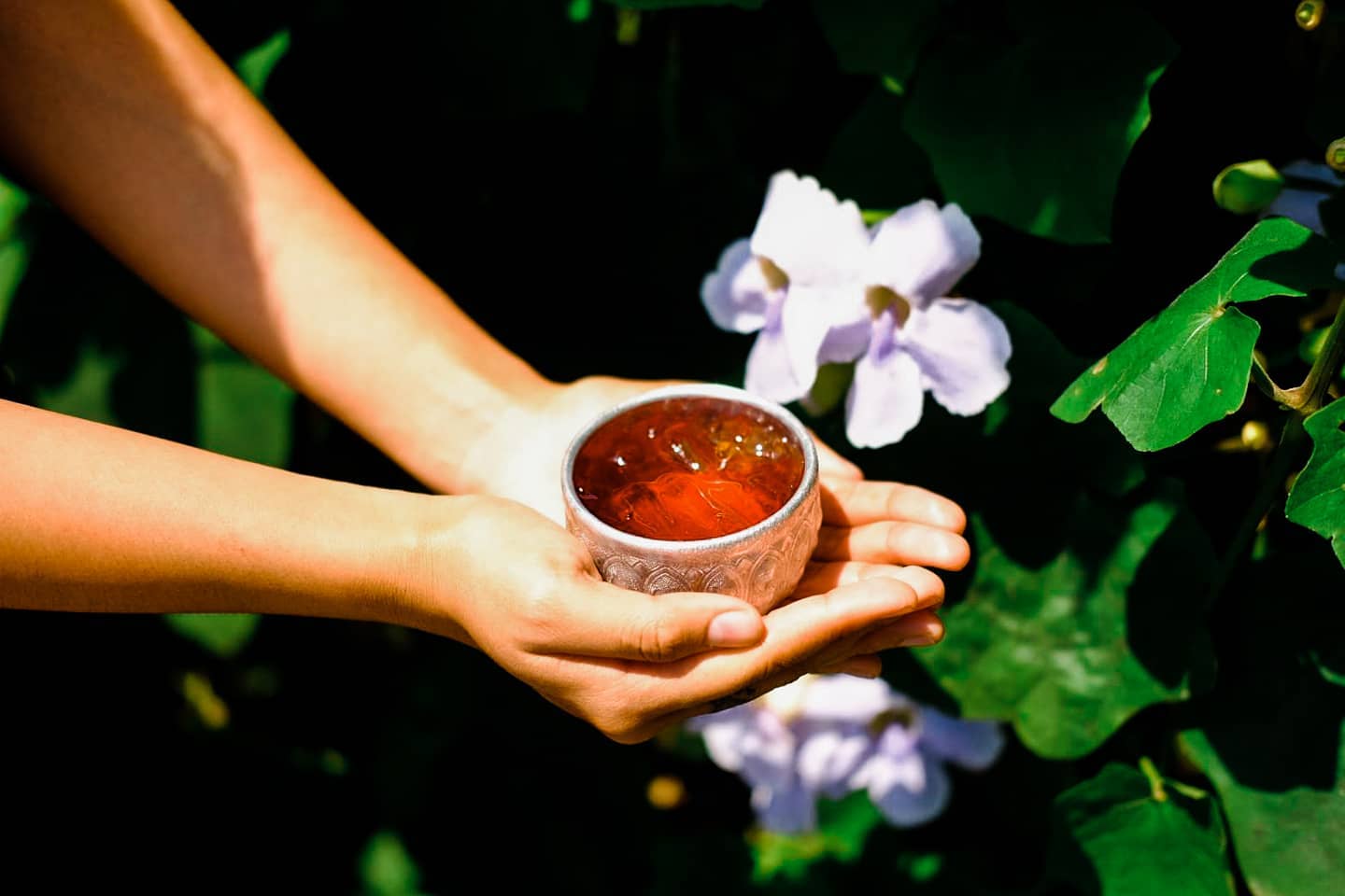 เรือนชายน้ำ Cafe&amp;Restaurant, ban.jingjo, See Sea Sun - แบบง่ายๆ, ขวัญข้าว ริเวอร์ไซด์, The sunflower cafe, KokoroCafe', FREJA Coffee &amp; Co, Rays River Cafe, Behind The Beans, พร้าวหอมคาเฟ่, Kinlamoon, House Cafe', บ้านสวนพาฝัน, La Bella Cafe, PakPap Cafe, ขมุน คาเฟ่ มหาชัย, Baanthaicafe, ดีกัน คาเฟ่, COCO CAFE'