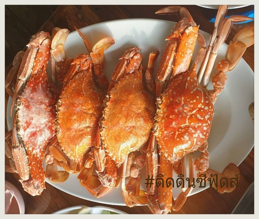 Pop View, ครัวบ้านกลางทะเล, Ripple Sea, ร้านลับหมึกช๊อต อ่าวอุดมซอย17, ร้านป๋าดำซีฟู้ด, ป้าแอ๊ดซีฟู๊ด, ติดดินซีฟู้ด, มุมอร่อย ศรีราชา, TOH CREW, เรือนน้ำซีฟู๊ด ศรีราชา, ครัวทะเล จันผา, ร้านอาหาร เฒ่าทะเล ซีฟู๊ด อ่าวอุดม, ร้านป้อมกินแล้วรวย