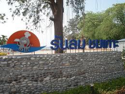 Pop View, ครัวบ้านกลางทะเล, Ripple Sea, ร้านลับหมึกช๊อต อ่าวอุดมซอย17, ร้านป๋าดำซีฟู้ด, ป้าแอ๊ดซีฟู๊ด, ติดดินซีฟู้ด, มุมอร่อย ศรีราชา, TOH CREW, เรือนน้ำซีฟู๊ด ศรีราชา, ครัวทะเล จันผา, ร้านอาหาร เฒ่าทะเล ซีฟู๊ด อ่าวอุดม, ร้านป้อมกินแล้วรวย