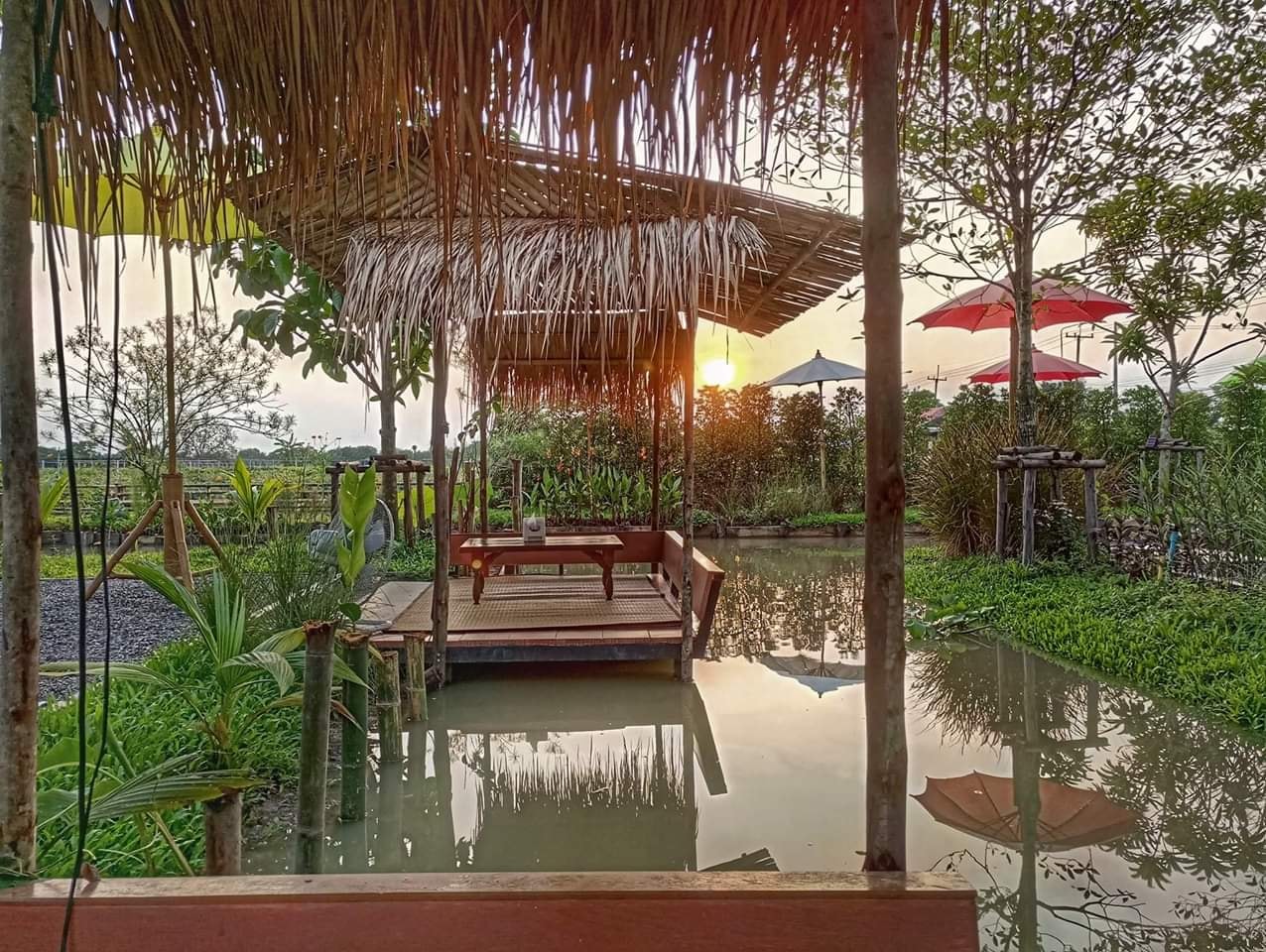 เรือนชายน้ำ Cafe&amp;Restaurant, ban.jingjo, See Sea Sun - แบบง่ายๆ, ขวัญข้าว ริเวอร์ไซด์, The sunflower cafe, KokoroCafe', FREJA Coffee &amp; Co, Rays River Cafe, Behind The Beans, พร้าวหอมคาเฟ่, Kinlamoon, House Cafe', บ้านสวนพาฝัน, La Bella Cafe, PakPap Cafe, ขมุน คาเฟ่ มหาชัย, Baanthaicafe, ดีกัน คาเฟ่, COCO CAFE'