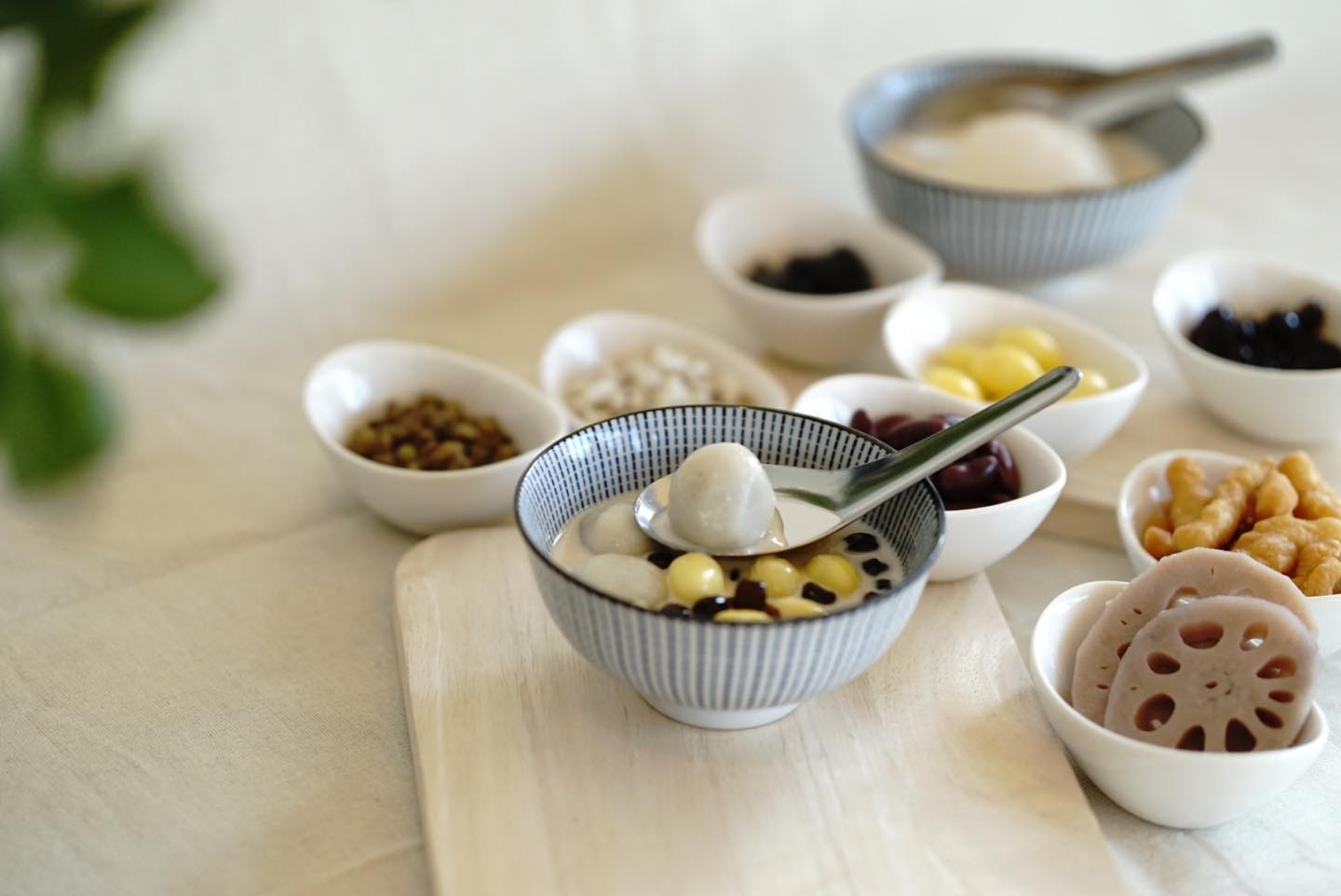 SOP Cafe, Three Mountain Café, ชื่นใจ๋, The Peace Coffee, โคโค่คอฟฟี่, Mali Cafe &amp; Cuisine, Tree Shade, Smallroom cafe passion, อาตี๋โกปี๊, Tara Coffee, In Cafe, Thanks, CORO FIELD, White Cacti