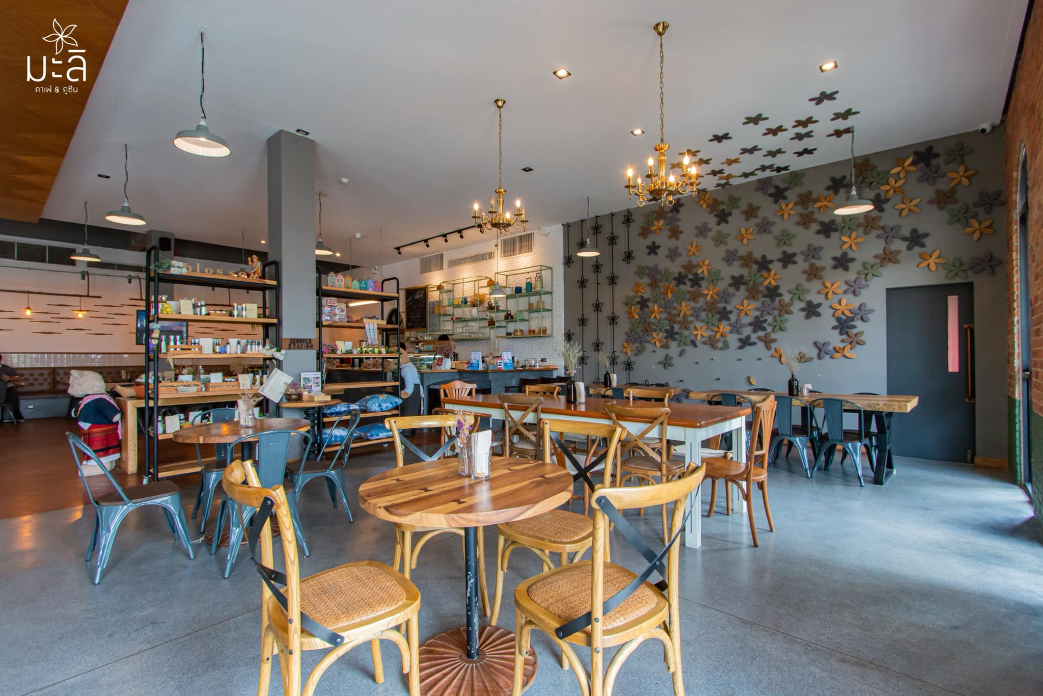 SOP Cafe, Three Mountain Café, ชื่นใจ๋, The Peace Coffee, โคโค่คอฟฟี่, Mali Cafe &amp; Cuisine, Tree Shade, Smallroom cafe passion, อาตี๋โกปี๊, Tara Coffee, In Cafe, Thanks, CORO FIELD, White Cacti