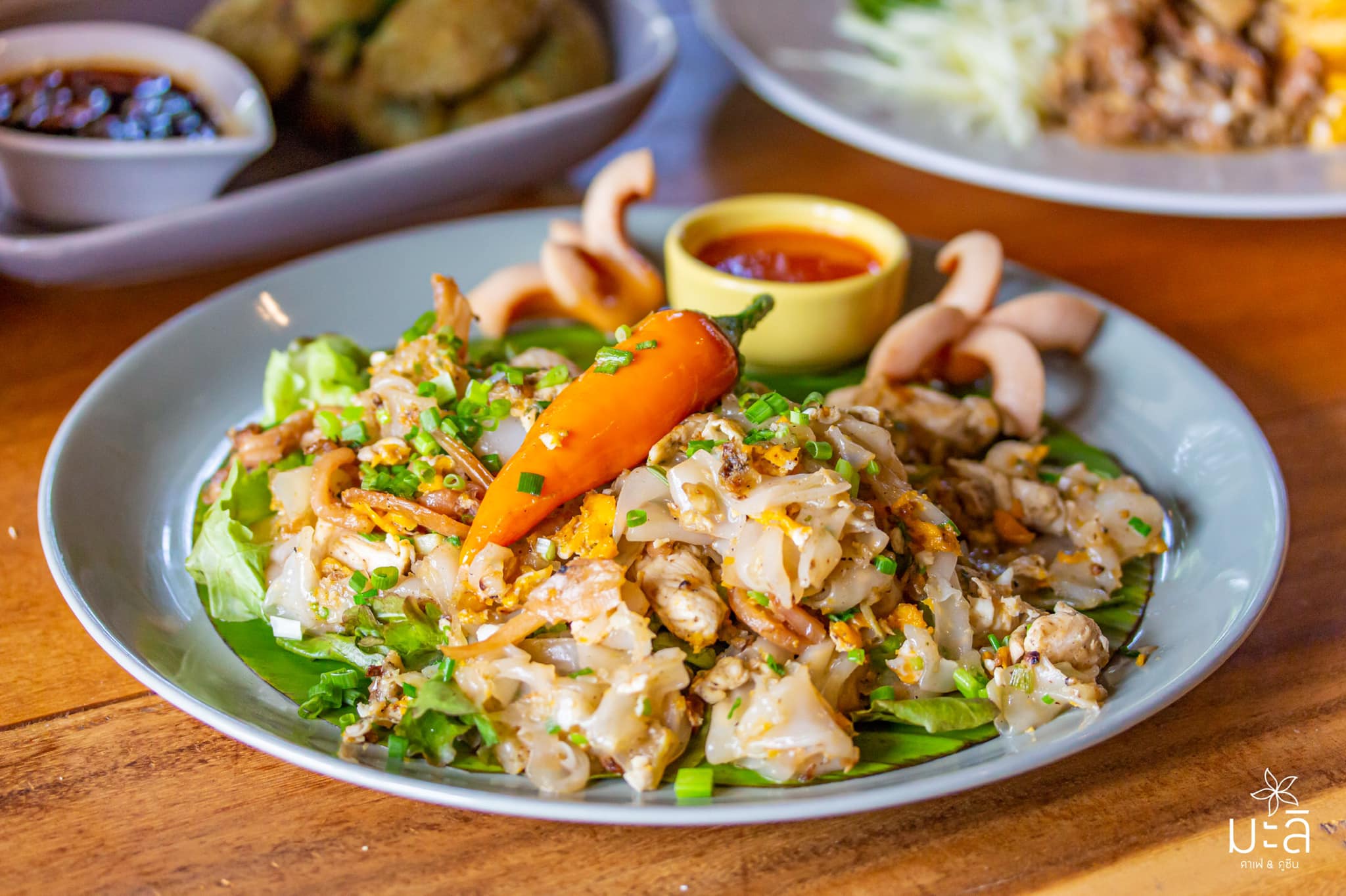 SOP Cafe, Three Mountain Café, ชื่นใจ๋, The Peace Coffee, โคโค่คอฟฟี่, Mali Cafe &amp; Cuisine, Tree Shade, Smallroom cafe passion, อาตี๋โกปี๊, Tara Coffee, In Cafe, Thanks, CORO FIELD, White Cacti