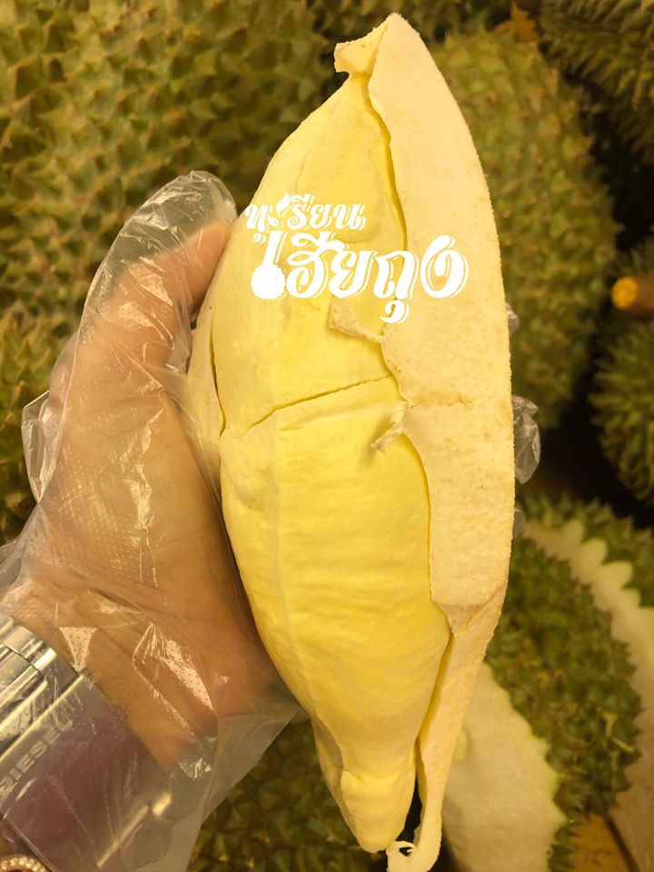 ทุเรียนหมอนทองจันทบุรี, Fresh Mate, ทุเรียนหมอนทองตลอดปี, ทุเรียนเฮียถุง Delivery, ทุเรียนน้องนิด, เจ้แหม่ม ผลไม้ &amp; ทุเรียน, aDay Fresh, Mr.Fruity ทุเรียนสด Delivery, ทุเรียนเจ๊ฟีม ตลาดสี่มุมเมือง, Siam Golden Fruit, ทุเรียน Delivery ส่งด่วนใน1ชั่วโมง