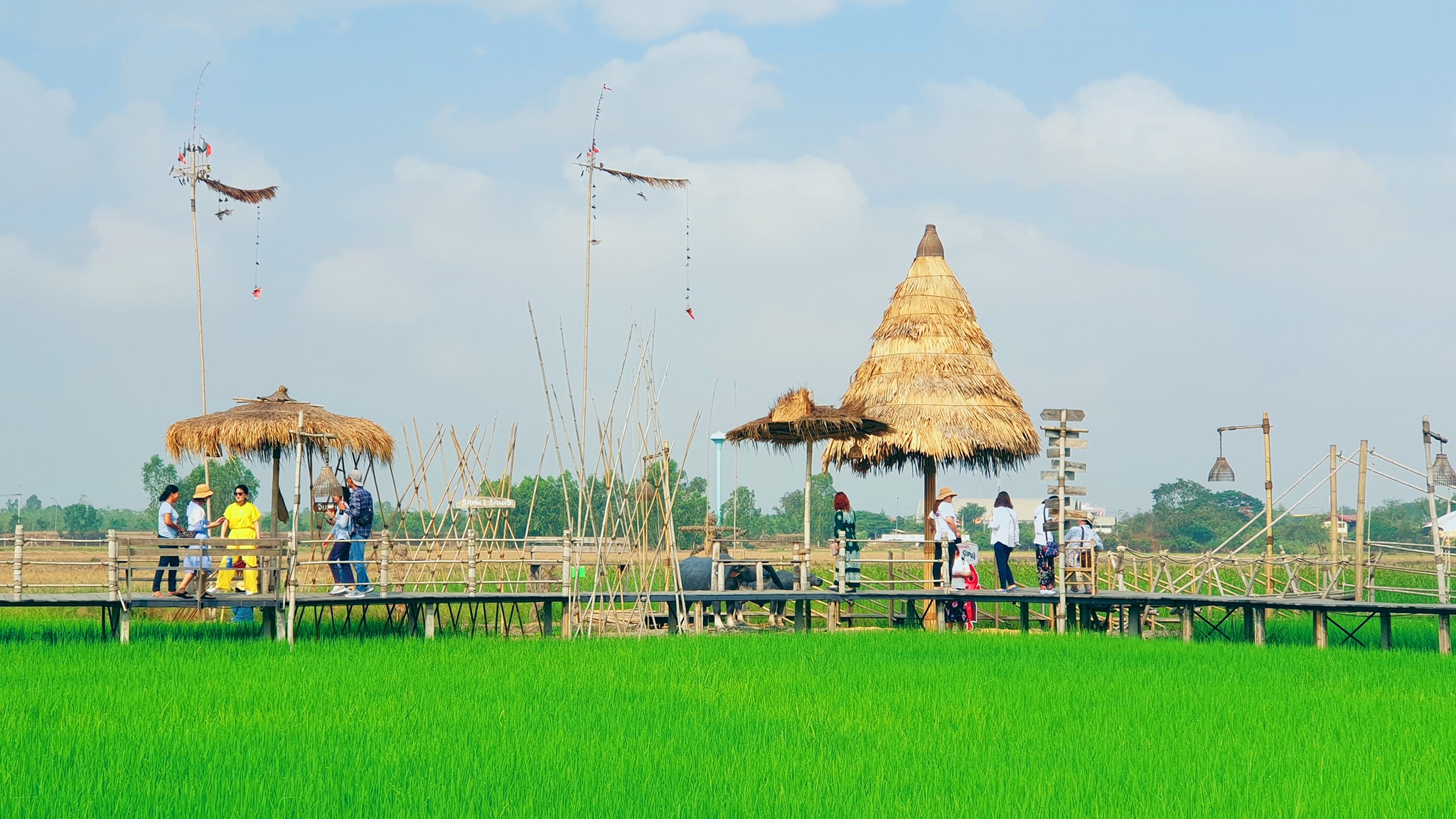 NAYA Cafe, Krasai.cafe, Sanoh at Ayutthaya, ชีวาคาเฟ่, FENG, Tewa Cafe Ayutthaya, Homeboy, PRANG VIEW, Peko Peko Cafe - ペ コ ペ コ, A Lovely Table, Busaba Cafe &amp; Meal, WIWA House Cafe', The Summer House, Phoyard, Cafe' de Zia, Café Kantary Ayutthaya, บ้านข้าวหนม, Basic Space Coffee, Cafe'Trifecta, ในคลองคาเฟ่, ไม้ขาวคาเฟ่ ayutthaya, ชงนวล'Cafe