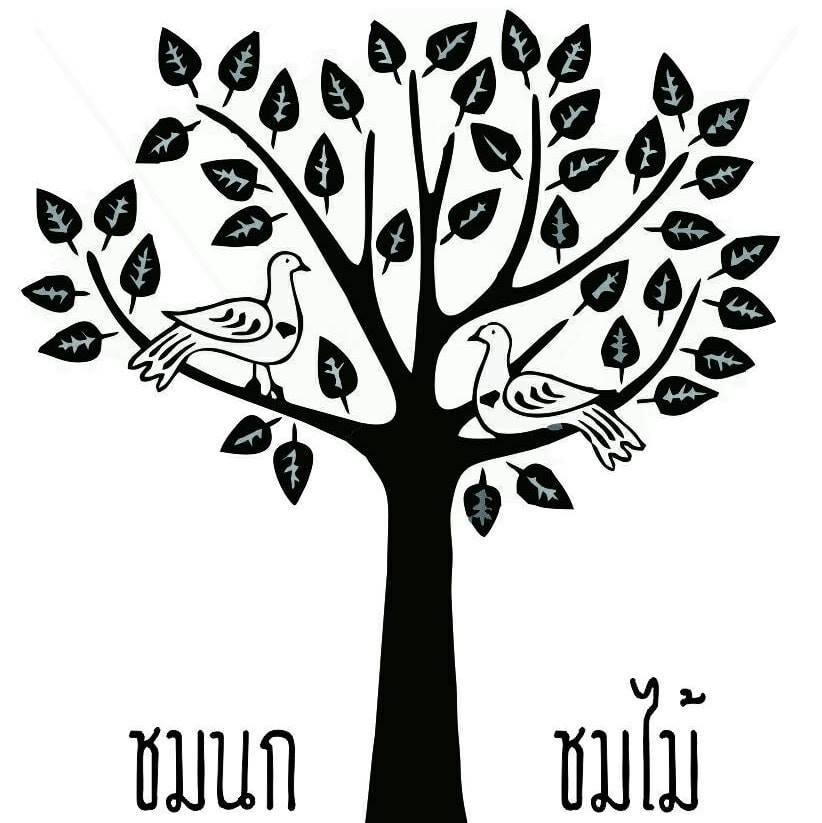 Treespresso cafe, Vigie Sist Café, Aki Choux Cream, Polaris Sunrise Café, MOJI Pool.Villa.icecream, MYTH OVEN, KonJohn coffee slowbar, Eleven Pillar Site, Home’S, Koffandthings.th, Playworks.cafeart, Tree of Life Cafe, Kramfeine, Millilit Cafe, TOMATO.cafe.cnx, MITTE MITTE, Soul Café mju, ZOHNG Coffee, ALSO cafe, Coffee Ngeggee, Graincafe.cnx, Later on cafe, สุขพอดี, FERN FOREST CAFÉ, Forest Bake, ภูฟิน, CHEEVIT CHEEVA, GoodVibes Cafe-Cnx, Chic 39, Zombie Café, Ristr8to, Neo Cafe', ชมนกชมไม้, เก้าคาเฟ่ นิมมาน