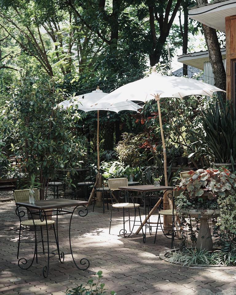 Treespresso cafe, Vigie Sist Café, Aki Choux Cream, Polaris Sunrise Café, MOJI Pool.Villa.icecream, MYTH OVEN, KonJohn coffee slowbar, Eleven Pillar Site, Home’S, Koffandthings.th, Playworks.cafeart, Tree of Life Cafe, Kramfeine, Millilit Cafe, TOMATO.cafe.cnx, MITTE MITTE, Soul Café mju, ZOHNG Coffee, ALSO cafe, Coffee Ngeggee, Graincafe.cnx, Later on cafe, สุขพอดี, FERN FOREST CAFÉ, Forest Bake, ภูฟิน, CHEEVIT CHEEVA, GoodVibes Cafe-Cnx, Chic 39, Zombie Café, Ristr8to, Neo Cafe', ชมนกชมไม้, เก้าคาเฟ่ นิมมาน