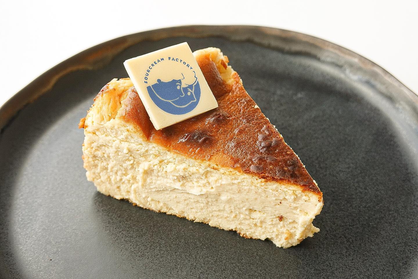 รับทำเค้กและเบเกอรี่ตามสั่งชลบุรี, Cocoa cafe, Sourcreamfactory, Heriot Cafe, Love your trees, BearbyTea, Fermenti, Daydream Café Chonburi, Tutu Beach