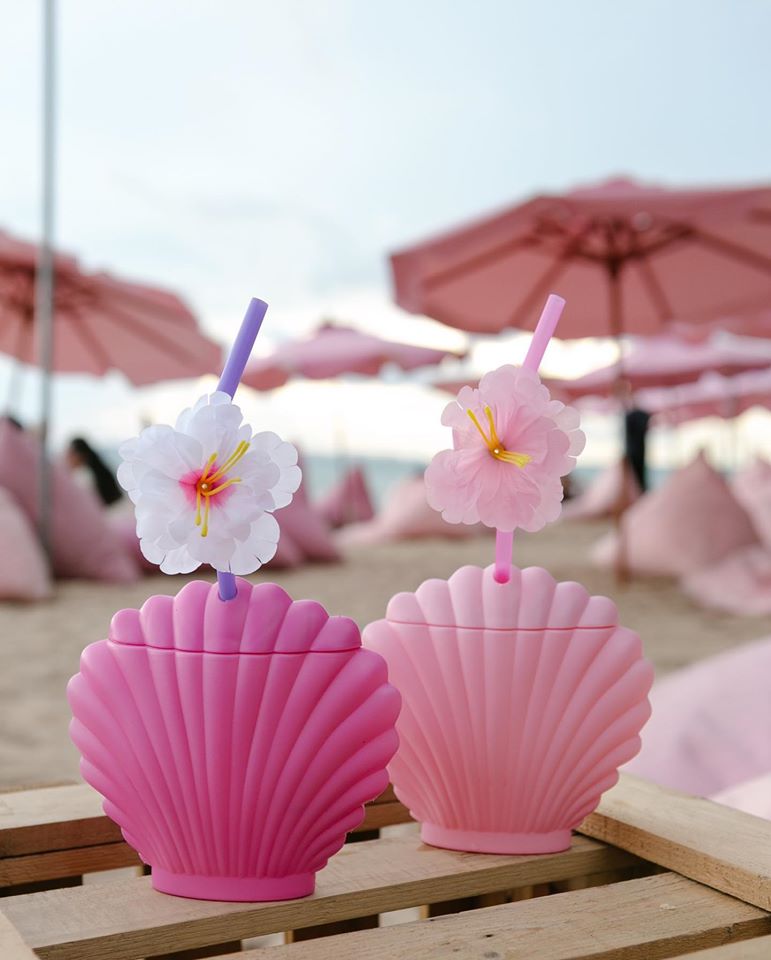 รับทำเค้กและเบเกอรี่ตามสั่งชลบุรี, Cocoa cafe, Sourcreamfactory, Heriot Cafe, Love your trees, BearbyTea, Fermenti, Daydream Café Chonburi, Tutu Beach